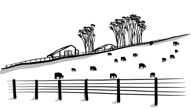 Vector illustration of Cow Pasture