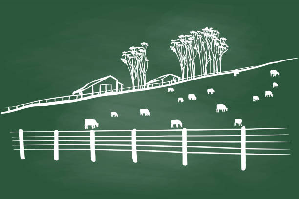корова пастбища доска - fence line stock illustrations