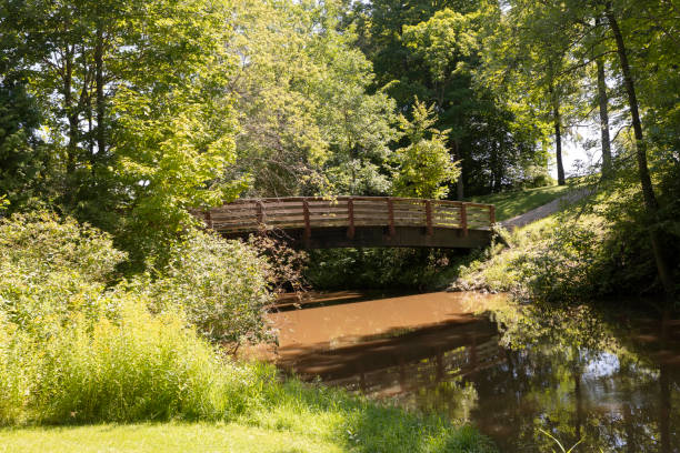 istock The bridge over creek in a city park 1266183183