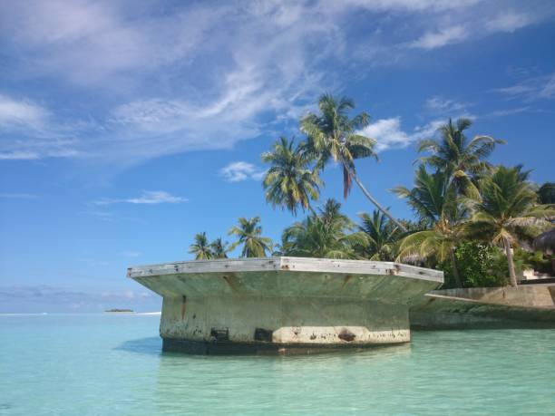 istock Palmy islands of Paradise 1266183211