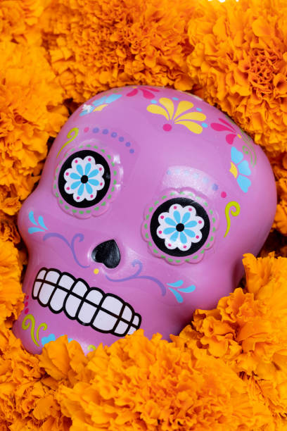 istock Composition with Mexican skull and cempazuchitl flowers on white background. 1266189202