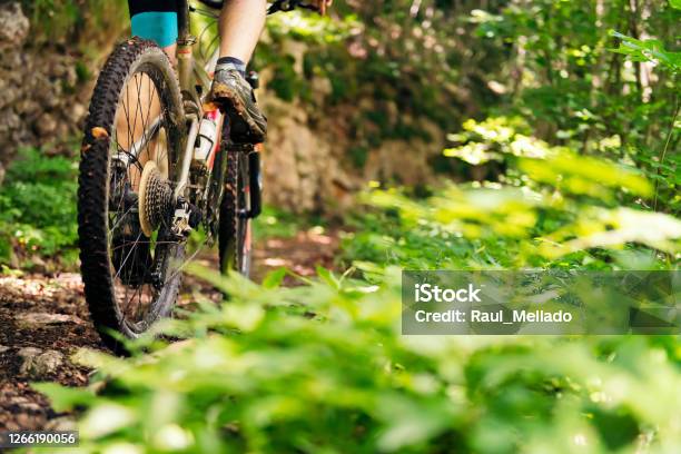 Wheels Of A Mountain Bike Riding On A Forest Road Stock Photo - Download Image Now - Mountain Bike, Wheel, Dirt Road