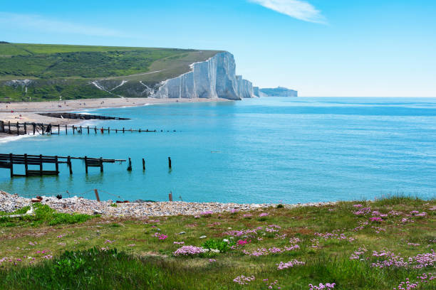 Cuckmere beach near Seaford, East Sussex, England Walking route in Cuckmere beach near Seaford, East Sussex, England. South Downs National park. View of blue sea, cliffs, beach, green fields, selective focus east sussex stock pictures, royalty-free photos & images