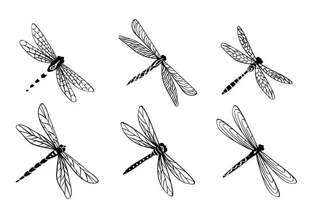 Vector illustration of Hand drawn dragonfly set