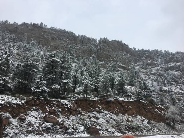 istock Snow Covered Trees in Estes Park, Colorado 1266193421