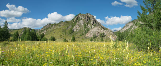 istock Summer sunny day in the mountains, panoramic view. Blooming meadow, sky. 1266195668