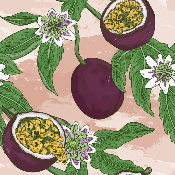 Vintage Passion Fruit Vine Blossom Seamless Pattern vector art illustration