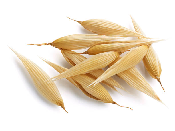 Oats Straw Example 11,400+ Oats Straw Stock Photos, Pictures & Royalty-Free Images - iStock