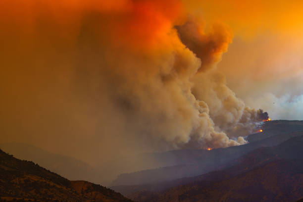 istock Wildfire Smoke and Flames 1266216935