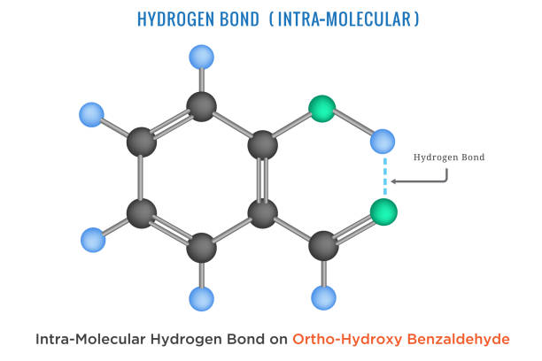 ilustrações, clipart, desenhos animados e ícones de ligação de hidrogênio, ligação de hidrogênio intra molecular em orto hydroxy benzaldeído - hydrogen bond