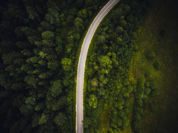 istock Road through the forest directly above 1266229520