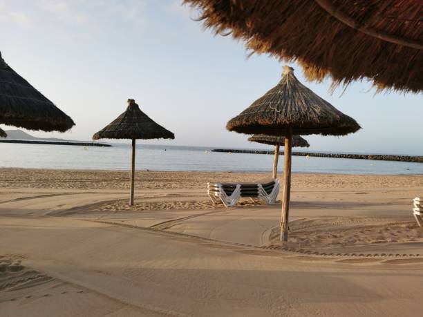 istock The Camison Beach in Tenerife 1266230267