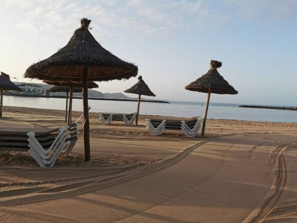istock The Camison Beach in Tenerife 1266230276