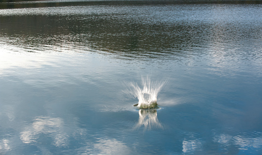 splash on lake