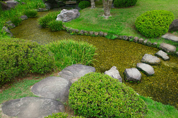 istock Japanese garden 1266237283