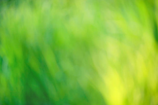 istock Bright round light bokeh on vivid green emerald color background 1266237691