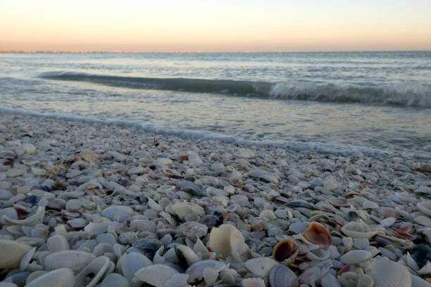 istock Beautiful sunset at Sanibel Island, Florida 1266237729