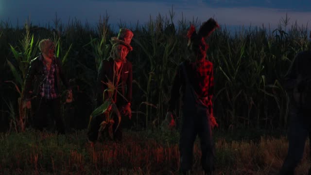 Four revived dead come out from cornfield at night.