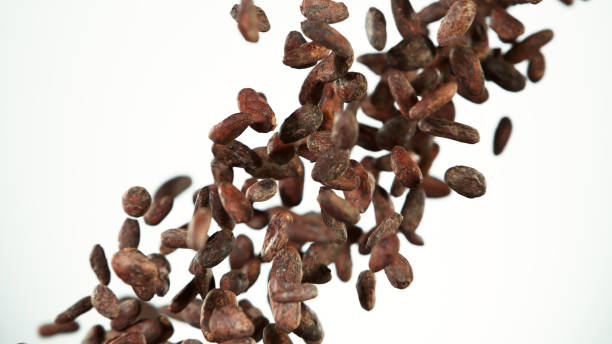 istock Cocoa beans flying in the air in freeze motion 1266238629