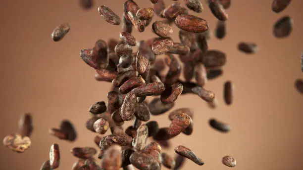 Cocoa beans flying in the air in freeze motion isolated on brown background