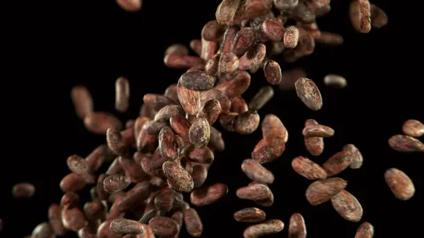 Cocoa beans flying in the air in freeze motion isolated on black background