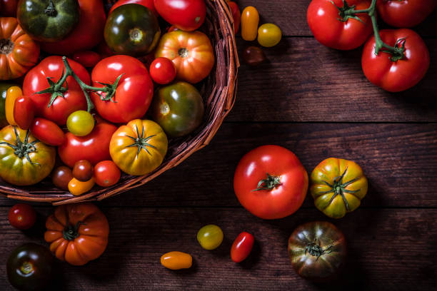 istock Various kinds of tomatoes on a basket 1266238691