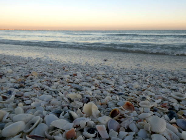 istock Beautiful sunset at Sanibel Island, Florida 1266241892