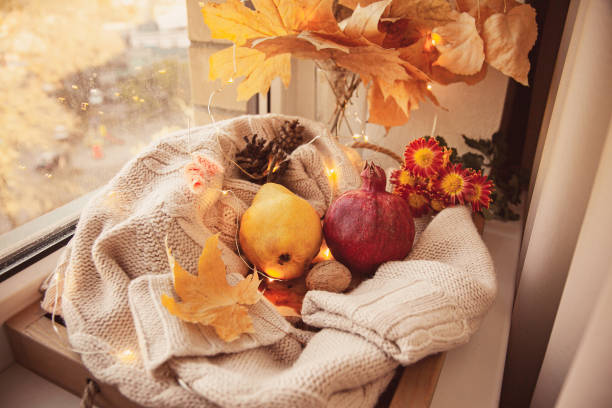 istock Good autumn morning on the windowsill 1266246430