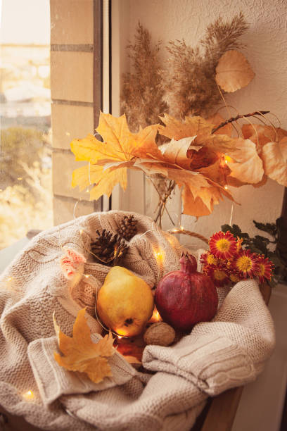 istock Good autumn morning on the windowsill 1266246435