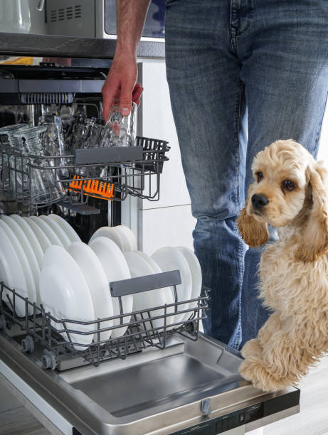 Clean dishes in the dishwasher in the kitchen, after washing. Clean dishes in the dishwasher in the kitchen. After washing. dog dishwasher stock pictures, royalty-free photos & images