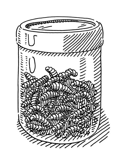 glasbehälter mit maden zeichnung - made man object stock-grafiken, -clipart, -cartoons und -symbole