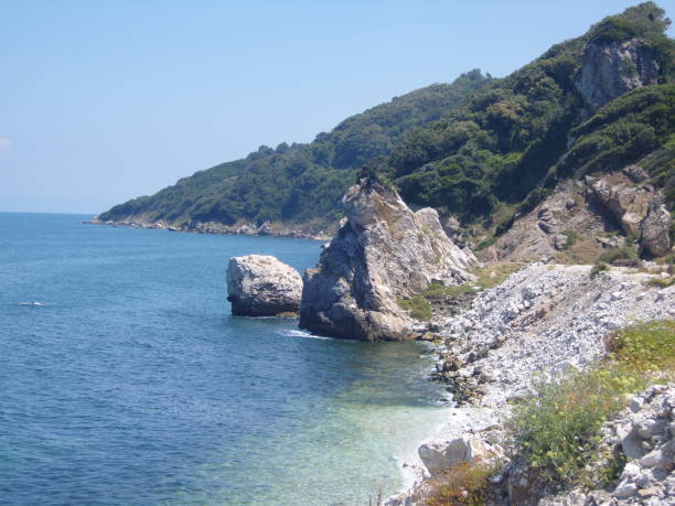 istock Coastline of Karacabey 1266249220