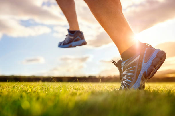 istock Running trail run in early sunrise 1266251063