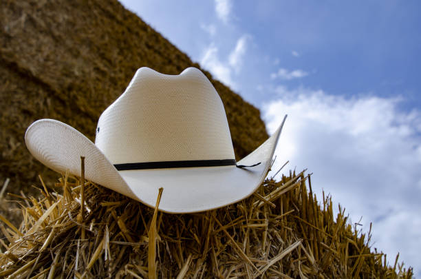 istock Cowboy hat and hay 1266251259