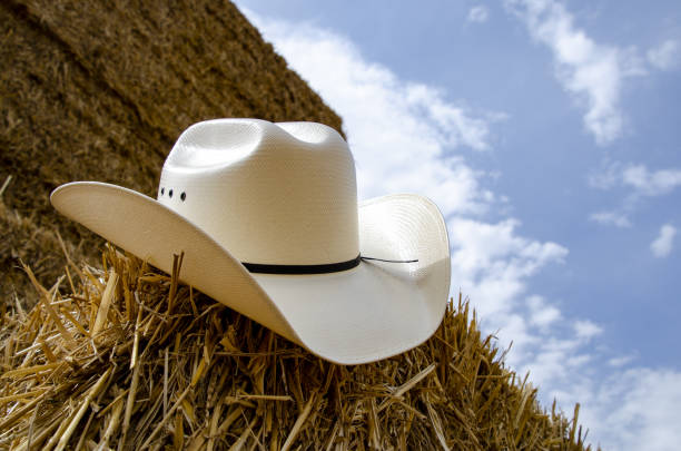 istock Cowboy hat and hay 1266252621