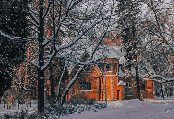 Community at night during a Winter Blizzard, Pennsylvania, USA; halos are due to the snow blew by strong wind.