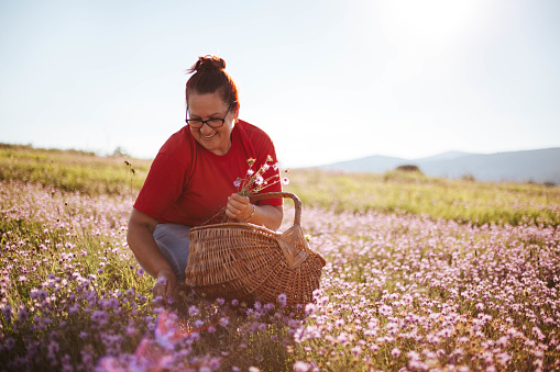 A happy woman picks wildflowers