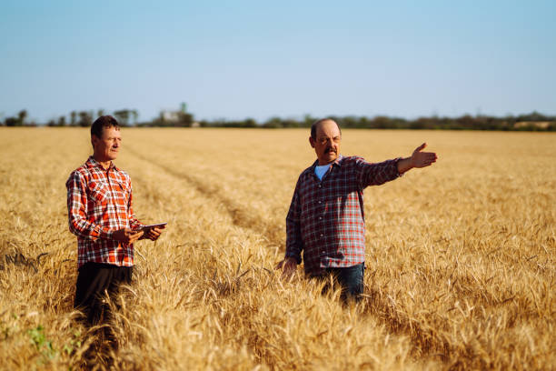 istock Farmers with tablet in the field. 1266255072