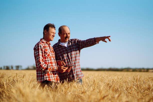 istock Farmers with tablet in the field. 1266255109