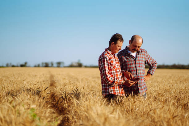 istock Farmers with tablet in the field. 1266255113