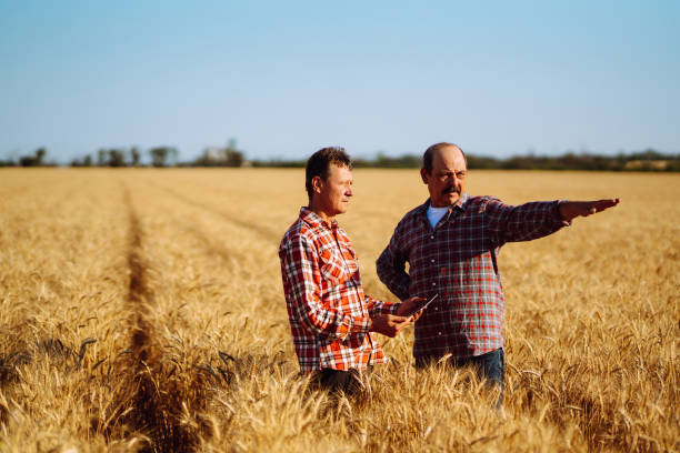 istock Farmers with tablet in the field. 1266255665