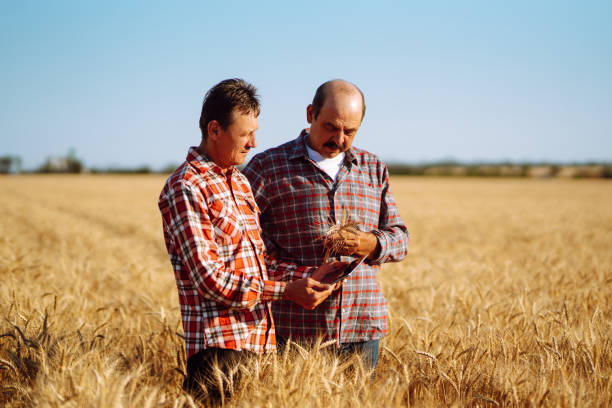 istock Farmers with tablet in the field. 1266255687