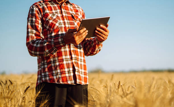 istock Farmer with a tablet in his hands on an agricultural field. 1266257382