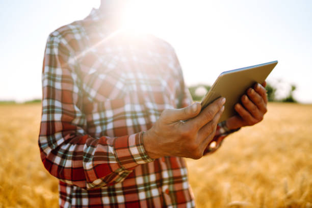 istock Farmer with a tablet in his hands on an agricultural field. 1266257499