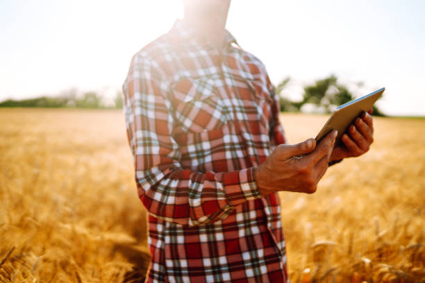 istock Farmer with a tablet in his hands on an agricultural field. 1266257527