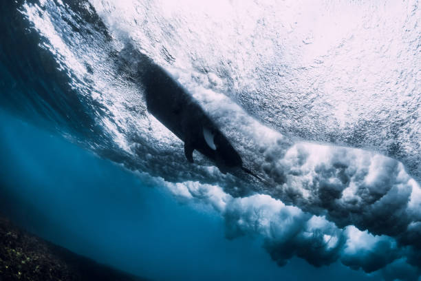 泡と気泡と水中サーフボードとクラッシュ波。透明な海水 - under the surface ストックフォトと画像