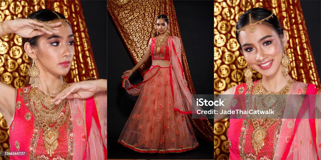 India Traje Tradicional Vestido De Novia De Novia En Hermosa Mujer Retrato  Foto de stock y más banco de imágenes de Sari - iStock