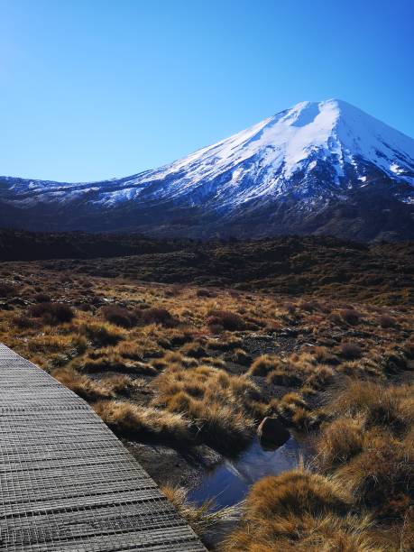 istock Adventure new zealand 2019 1266269199