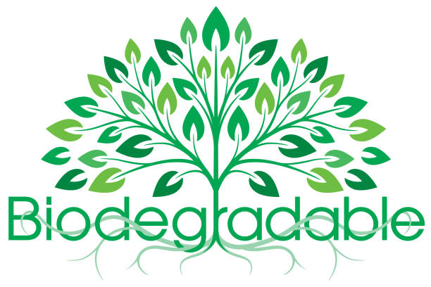 Biodegrable Lettering 3,400+ Biodegradable Logo Stock Illustrations, Royalty-Free Vector ...