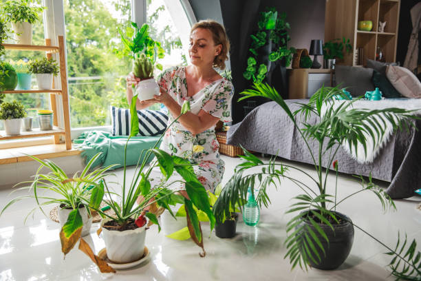 istock Plants can reduce stress, anxiety, and fatigue 1266285094